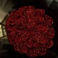 باکس گل ، گل ربانی،دسته گل و