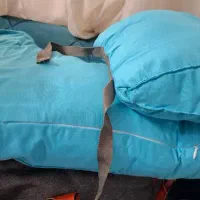 بالشت شیردهی