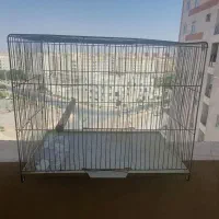 قفس