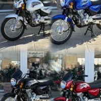 باکسر کوهپایه