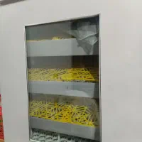 دستگاه جوجه کشی