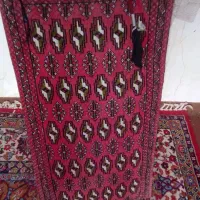 پشتی|پشتی|گنبد کاووس, |دیوار