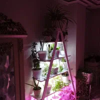 استند گل|میز و صندلی غذاخوری|رودهن, |دیوار