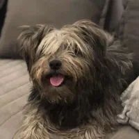 سرگرمی و فراغت