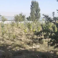 فروش زمین باحق اب روبروی کارخانه سراب بافت