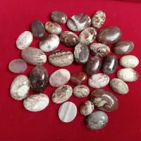 فروش ویژه عقیق شجر زمستانی پاییزی بلدرچینی دریایی