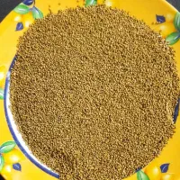 بذر یونجه اعلا