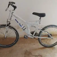 دو عدد دوچرخه