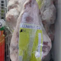 گردن گوسفندی منجمد مغولی لومانا