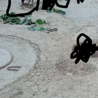 خروس