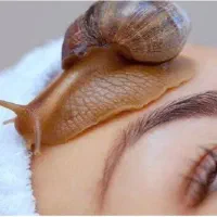 حلزون تراپی/درمانی