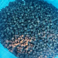 کنجاله کلزا