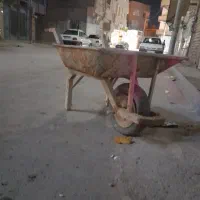 فرقون