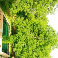 زمین-به-مساحت-400-متر-مربع