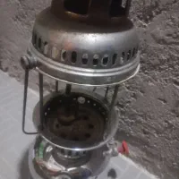 زنبوری سالم وگردسوز