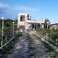 استخدام همکار خانم