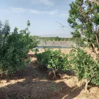 چاه-آب-دارای-ایسی-عالی-بهترین-گزینه-برآب-معدنی