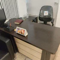 منشی خانم