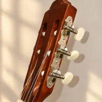 Guitar|گیتار، بیس، امپلیفایر|خرم‌آباد, |دیوار