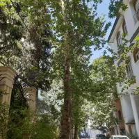 دولت ۱۰۵متر زمین ۱۲۰متر بنا ۴۵ میلیارد