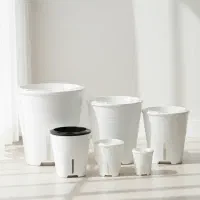 تولیدی گلدان هیدروپونیک