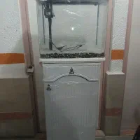 اکواریوم دلسا