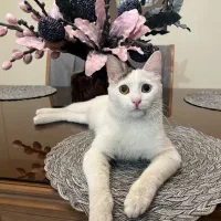 دختر ۸ ماهه dhs