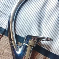 شیر، گاپایگان