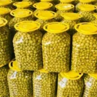 ظروف یکبار مصرف یا جار ر