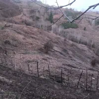 فروش-زمین-باغی-در-شهر-اطاقور