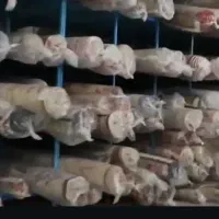 قالیشویی الماس غرب در نجف اباد تیران ویلاشهر