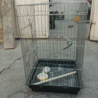 قفس طوطی