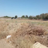 ۵۰۰ متر زمین (پیامبر اعظم ۹۱) - شرایط منعطف
