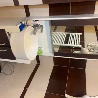 روشووکابین