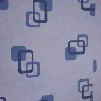 دو عدد موکت سالم ونو