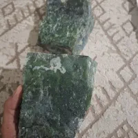 یشم راف