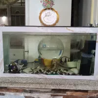 وسایل آکواریوم و خود آکواریوم