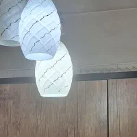 لوسترسه شاخه