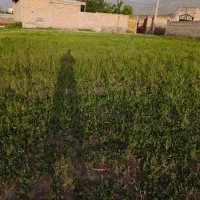 زمین در شهرستان سراب روستای مهین و تازه کند