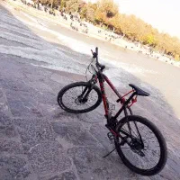 دوچرخه فلش تایوانی اصل