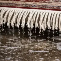 قالیشوی تحویل فوری 48ساعته