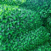 فنس چمنی برگی چمن مصنوعی ریشه‌ای