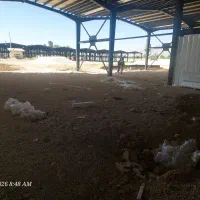 استخدام کارشناس فروش شرکت ساختمانی