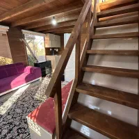دبی با مهندسی معکوس در ایران