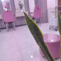 نیازمند ب پرسنل سالن زیبایی نفس چابعار