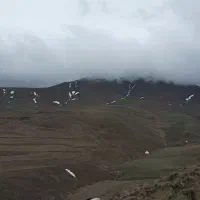 سگ پیدا کردم