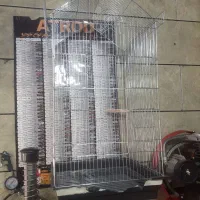 قفس و مرغ عشق