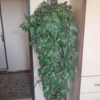 گلدان مصنوعی