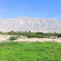 نیازمند بابکت و خاور