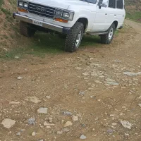 کاردر مزرعه  نخود کشارزی